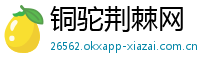 铜驼荆棘网